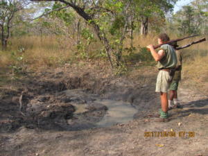 Buffalo wallow